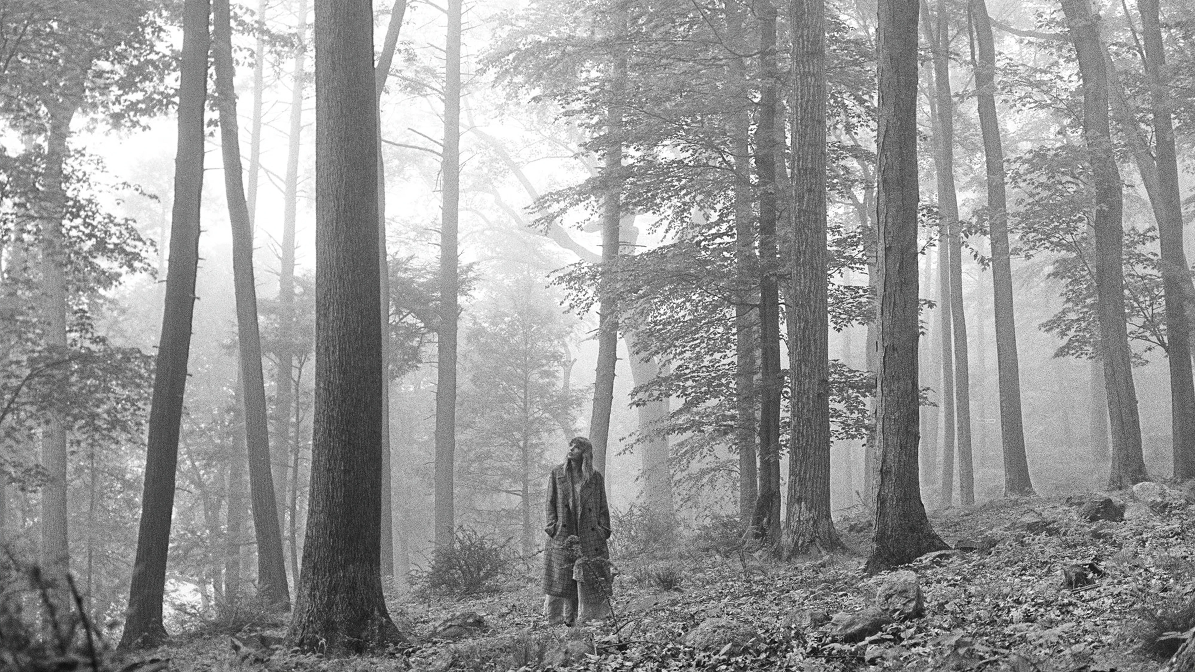 Critiquing Albums Like I Could Make Anything Better: – Folklore By Taylor Swift 1 Person In A Foggy Forest With Tall Trees, Wearing A Coat, Looking Upwards, Leaves And Rocks Below.