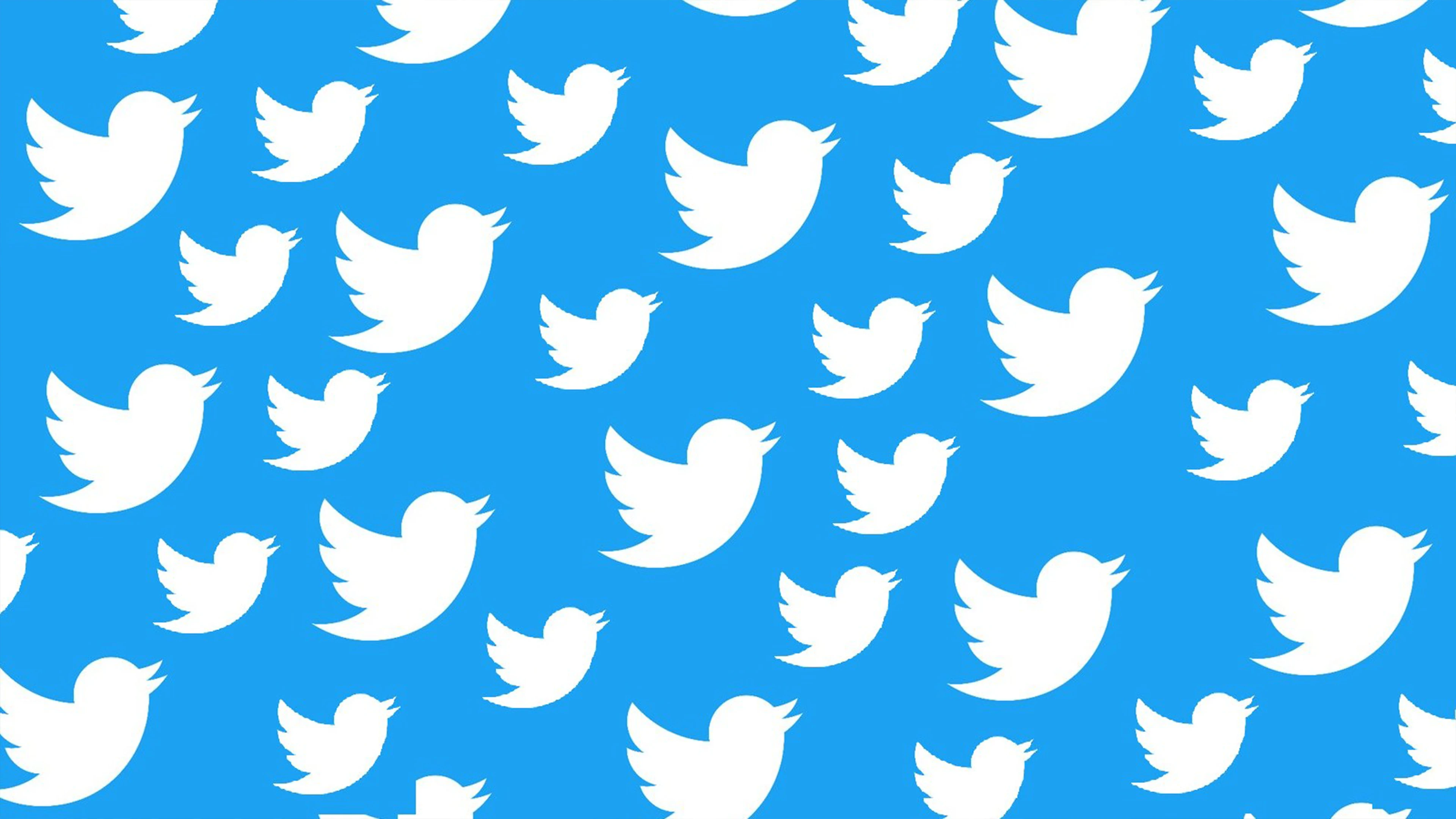 My Top 5 Bcm325 Tweets! 9 White Bird Silhouettes Pattern On Blue Background, Similar To The Twitter Logo.
