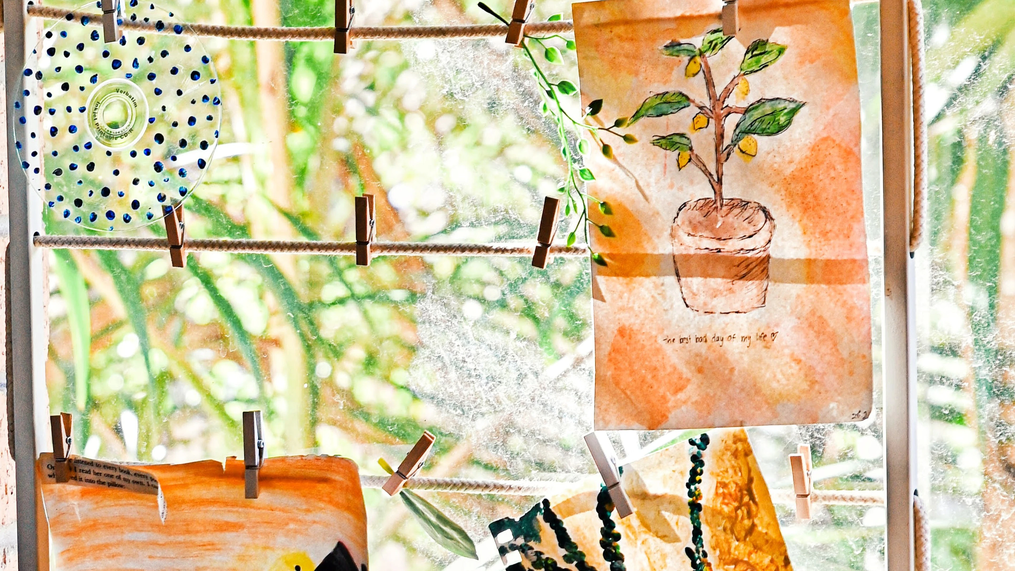 The Joy Of Citrus Fruits: A Symbol Of Sharing, Community, And Friendship In Poetry 6 Window Display With Items Clipped On Rope, Featuring Plant Art, Blue Dot Disc, And Blurred Nature.
