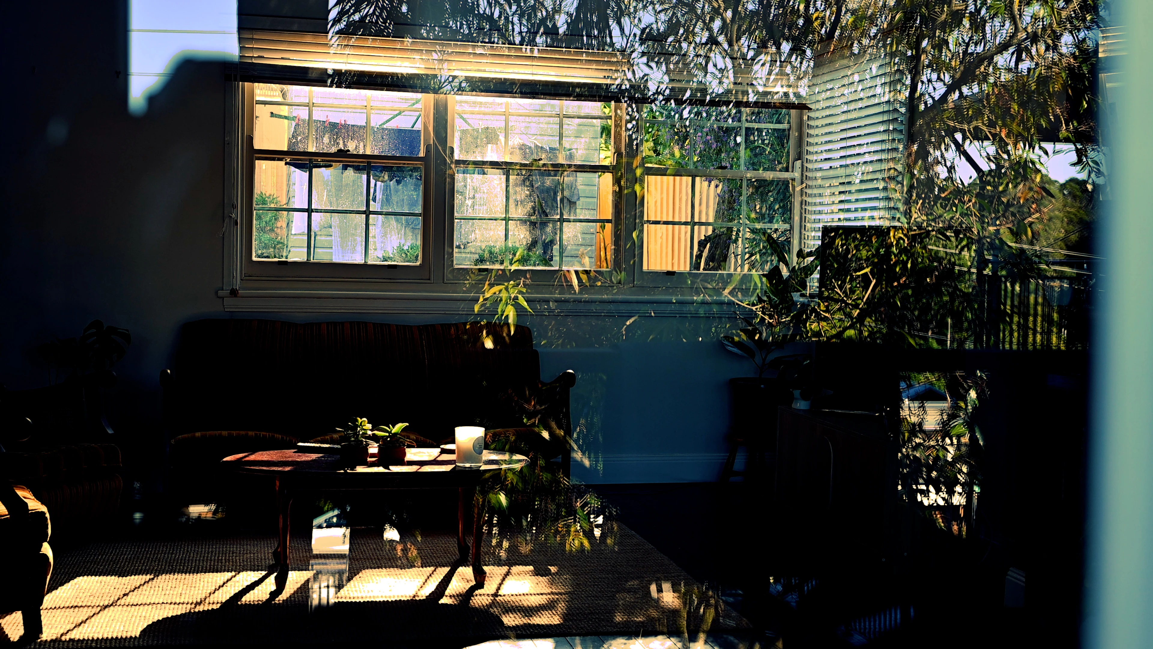 I Made This Video For Uni But It'S Actually Pretty Cool, So Here. 1 Interior With Sunlit Window, Sofa, Coffee Table, Plants, Candle, And Tree Reflections.