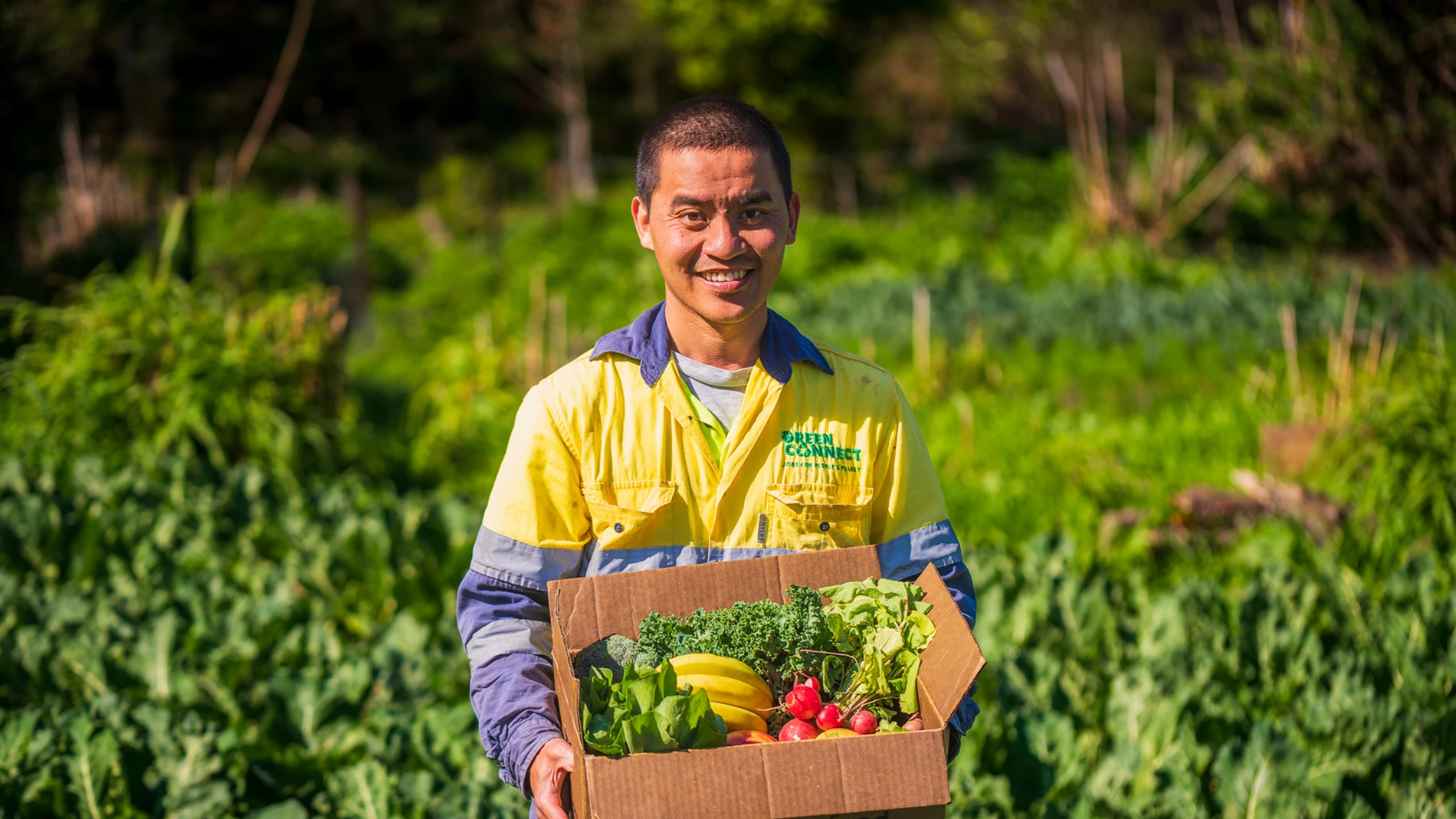 Person in yellow and blue shirt holding box of produce in lush garden.