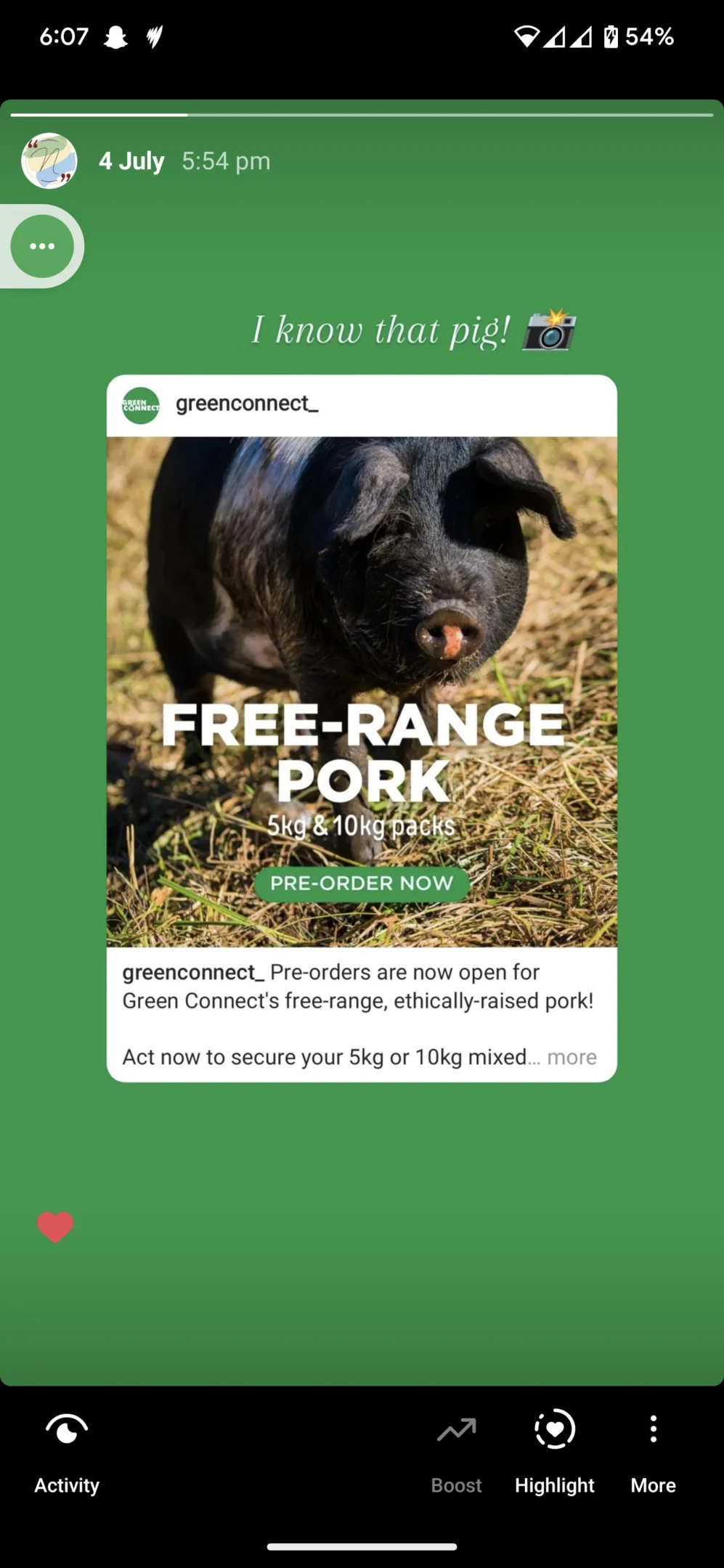 Pig Green Connect Free Range Pork
