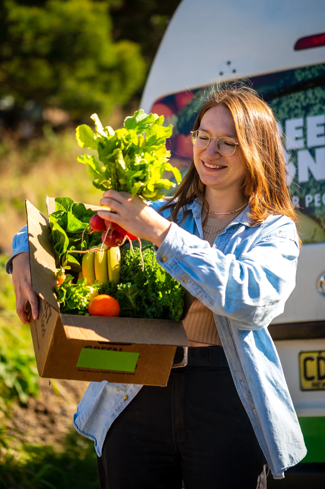 Person Outdoors With A Box Of Fresh Fruits And Vegetables Near A Van.