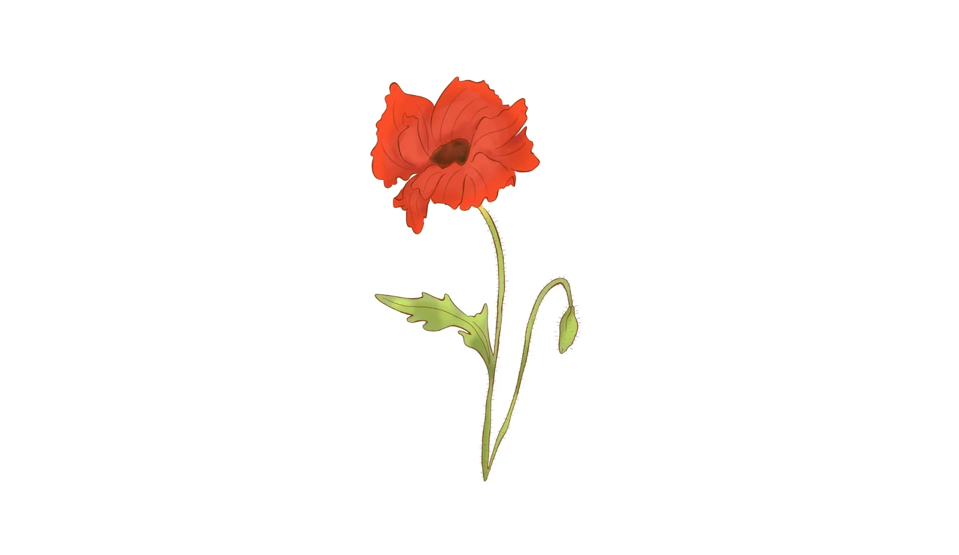 Everyone Gets A Fair Go Navigating Tall Poppy Syndrome In Australia Feature
