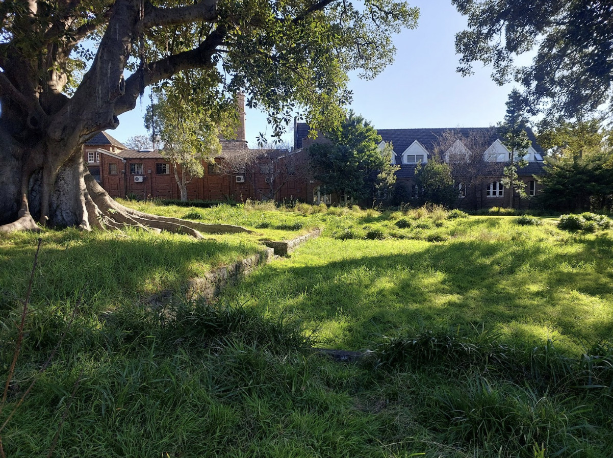 More Money For Trees – And How Forests Can Help Our City Breathe 9 More Money For Trees – And How Forests Can Help Our City Breathe