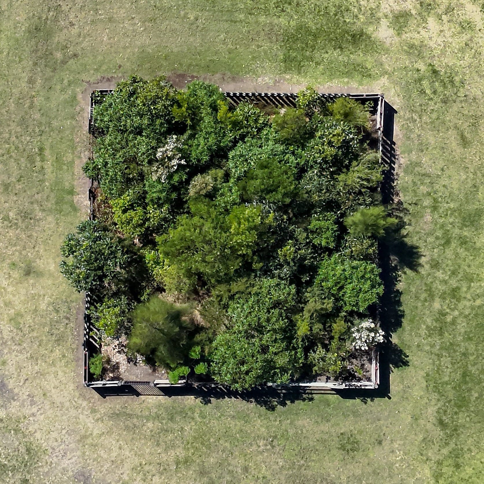 More Money For Trees – And How Forests Can Help Our City Breathe 6 More Money For Trees – And How Forests Can Help Our City Breathe