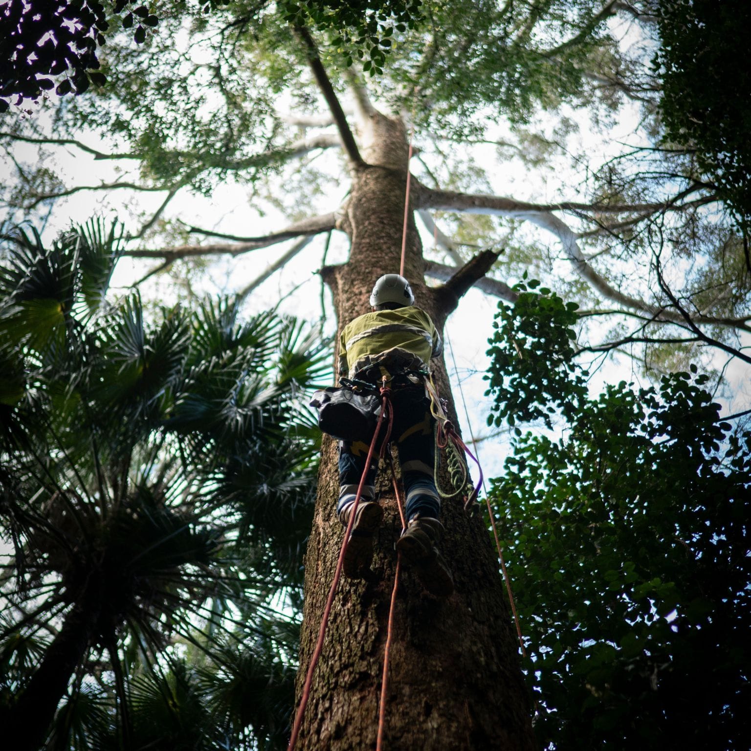 Symbio&Amp;Apos;S Conservation Chief Has Had A Wild Rise