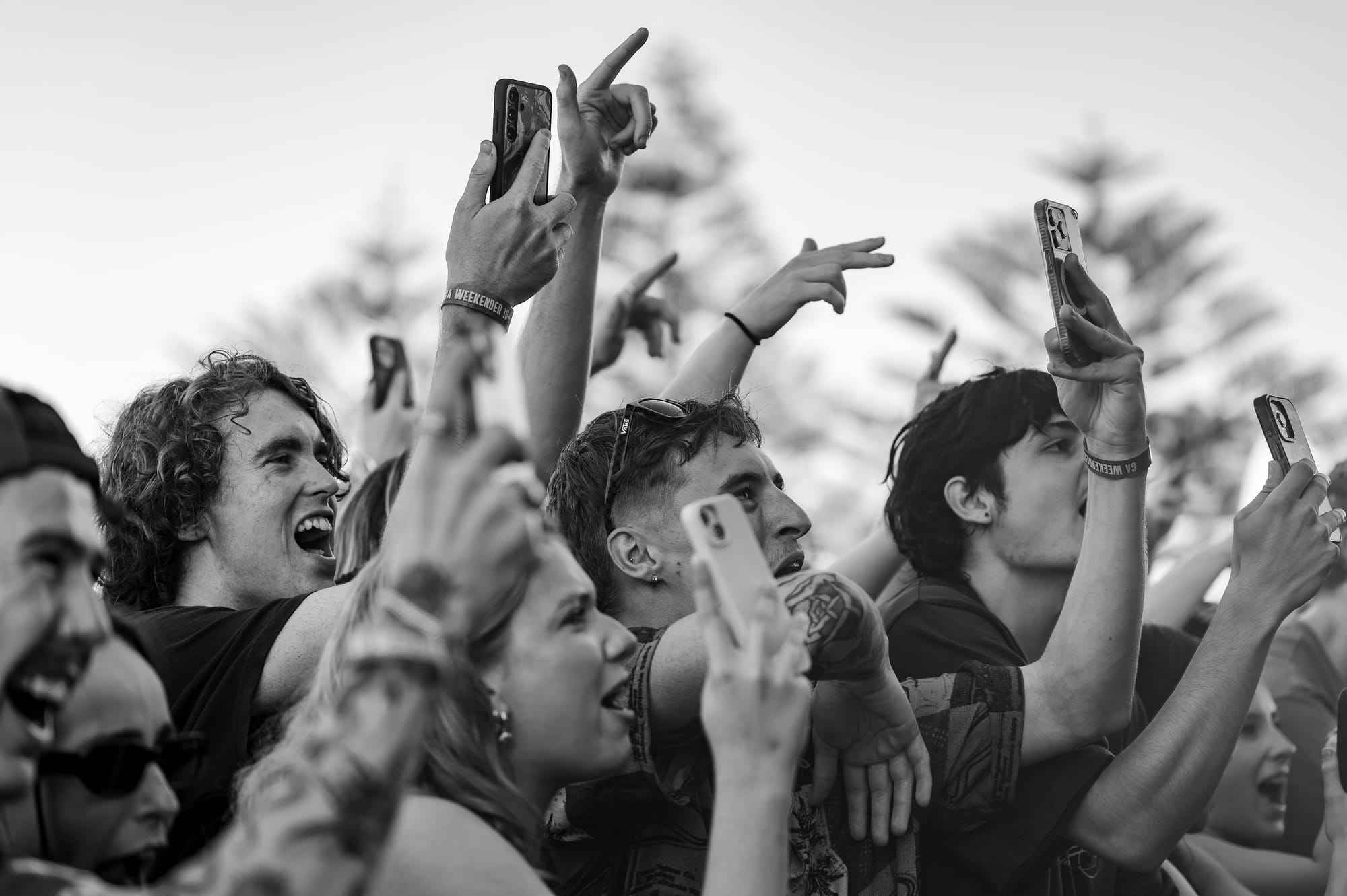 'Spatial Acoustics' And Rock Festival Feature In Live Music Scene 1 Yours Owls 2025 0013